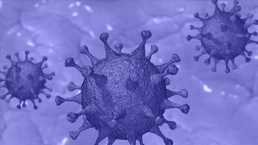 PANDEMIC AND CIVILIZATION THE NEW PARADIGM SHIFT IN OUR WORLD